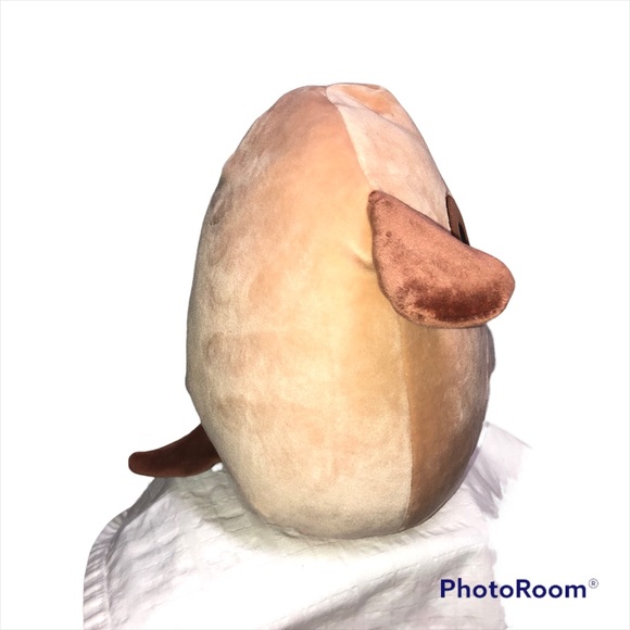 Squishmallow 8" Doug the Brown Dog W/ Eye Patch Stuffed Animal Plush Paw Prints - Picture 2 of 12